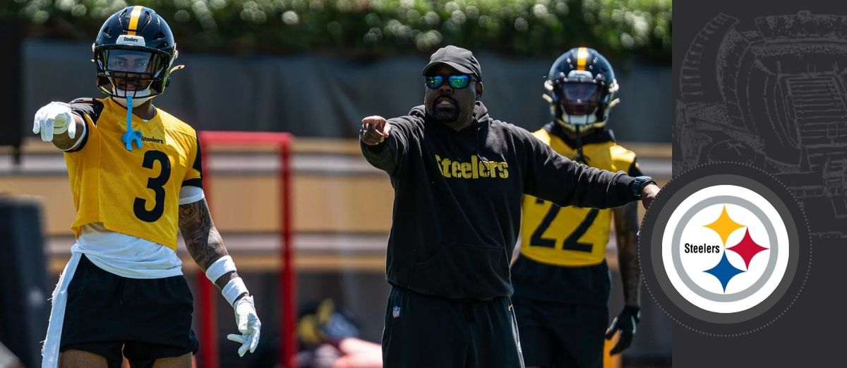 Defense fine without free safety? taken in Pittsburgh (Steelers)